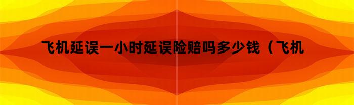 飞机延误一小时延误险赔吗多少钱（飞机延误1个半小时有延误险赔吗）