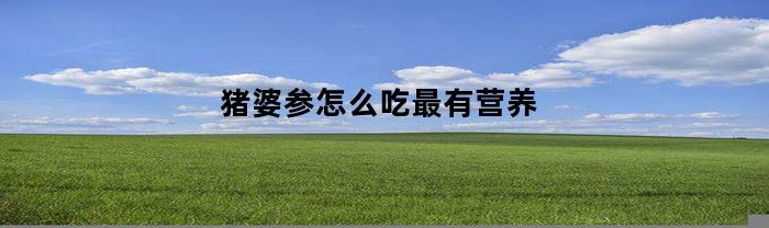 猪婆参怎么吃最有营养