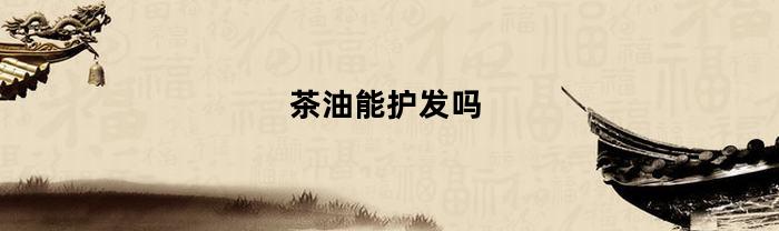 茶油能护发吗