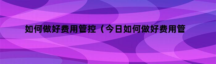 如何做好费用管控（今日如何做好费用管控服务）