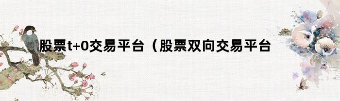 股票t+0交易平台(股票双向交易平台T+0平台)
