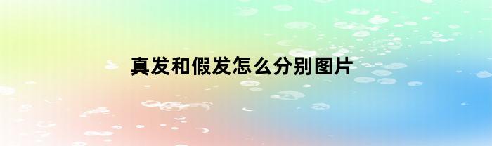 真发和假发怎么分别图片