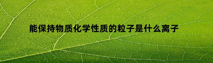 什么粒子具有保持物质化学性质的离子特征？