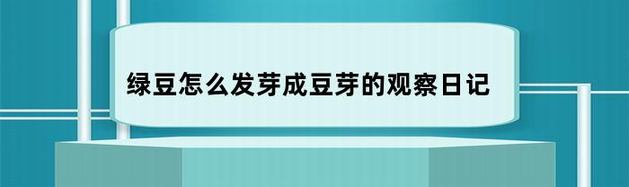 观察绿豆发芽成豆芽的日记