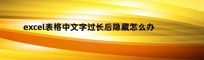 excel表格中文字过长后隐藏怎么办