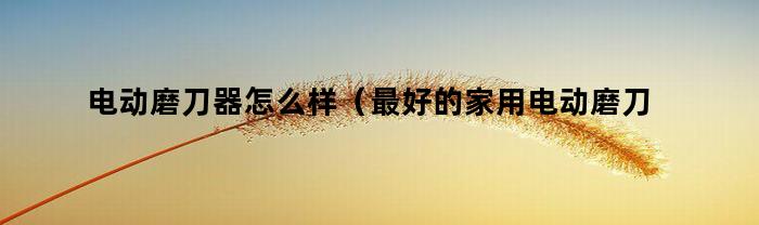 电动磨刀器怎么样（最好的家用电动磨刀器）