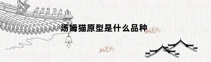 汤姆猫原型是什么品种