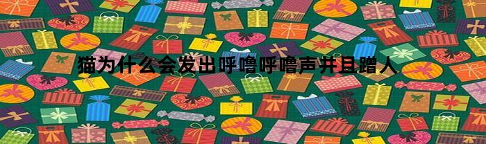 猫为什么会发出呼噜呼噜声并且蹭人