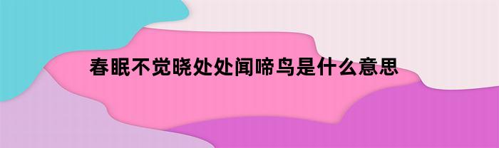 春眠不觉晓处处闻啼鸟是什么意思