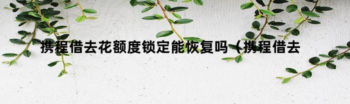 携程借去花额度锁定能恢复吗(携程借去花额度锁定能恢复吗安全吗)