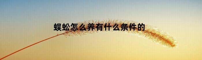 蜈蚣怎么养有什么条件的