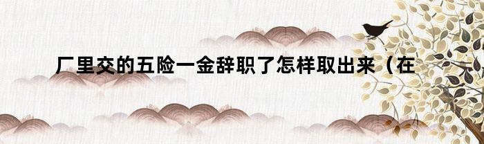 厂里交的五险一金辞职了可以如何提取？（厂里交的五险一金和公积金是否可以提取呢？）