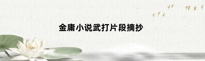 金庸小说武打片段摘抄