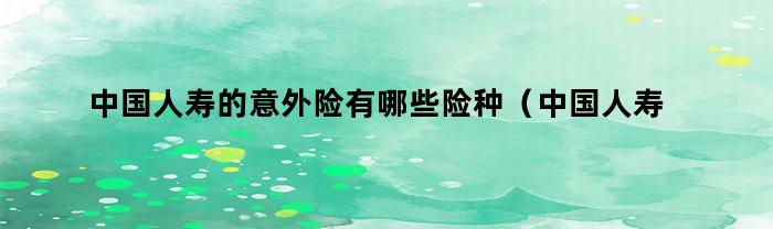 中国人寿意外险种解析：了解不同险种可以买到的保障