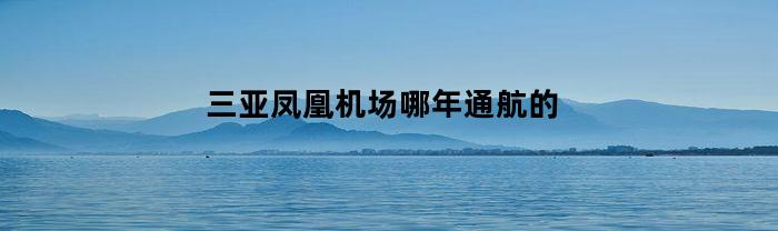 三亚凤凰机场哪年通航的