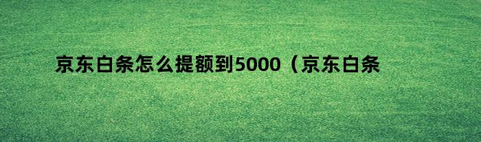 京东白条怎么提额到5000（京东白条怎么提额到5000元）