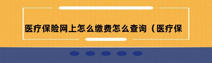 医疗保险网上怎么缴费怎么查询（医疗保险网上怎么缴费2023年）