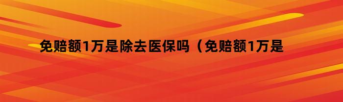 免赔额1万是除去医保吗？还有其他应注意的费用吗？