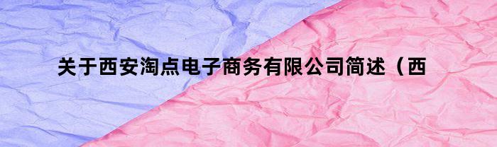 关于西安淘点电子商务有限公司简述（西安淘点电子商务有限公司）