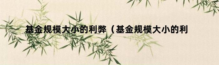 基金规模大小的利弊（基金规模大小的利弊分析）