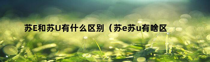 苏E和苏U有什么区别（苏e苏u有啥区别好处）