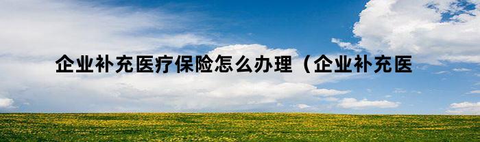 企业补充医疗保险怎么办理(企业补充医疗保险怎么办理手续)