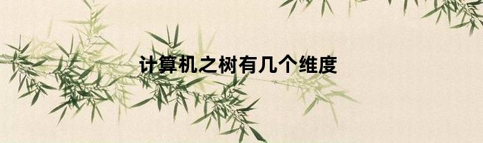 计算机之树有几个维度