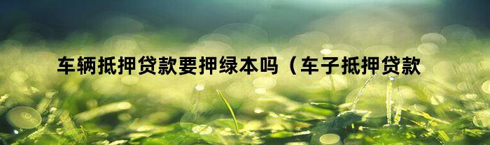 车辆抵押贷款要押绿本吗(车子抵押贷款押的绿本是什么)