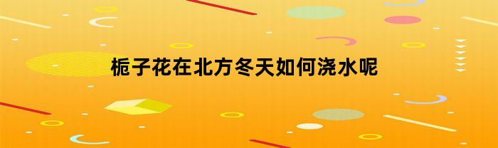 栀子花在北方冬天如何浇水呢