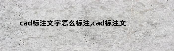 cad标注文字怎么标注,cad标注文字大小怎么调整不了呢（cad标注文字大小怎么改不了）