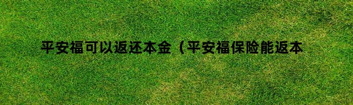 平安福可以返还本金（平安福保险能返本金吗）