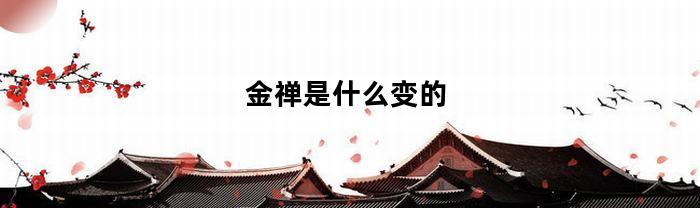 金禅是什么变的
