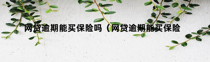 网贷逾期能买保险吗（网贷逾期能买保险吗知乎）