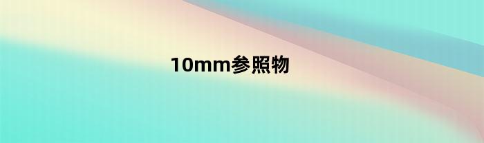 10mm参照物
