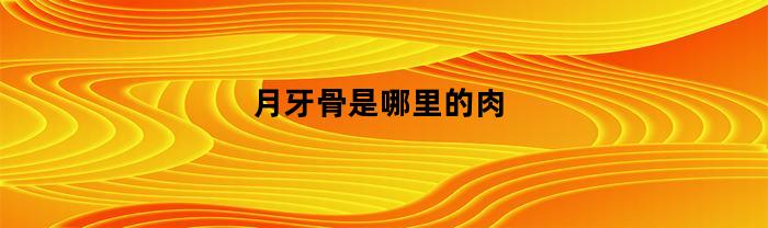 月牙骨是哪里的肉
