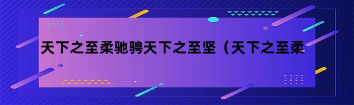 天下之至柔驰骋天下之至坚（天下之至柔驰骋天下之至坚无有入无间）
