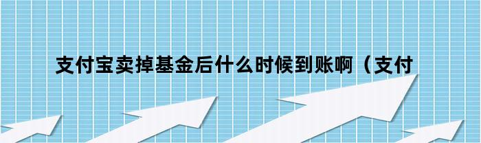 支付宝卖掉基金后什么时候到账啊（支付宝卖掉基金后什么时候到账户）