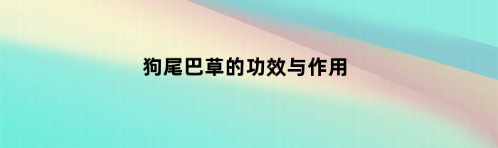 狗尾巴草的功效与作用