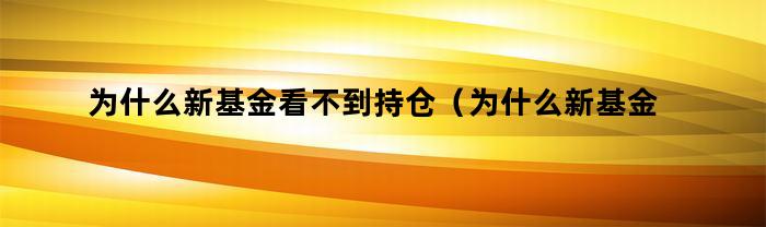 为什么新基金看不到持仓（为什么新基金看不到基金持仓）