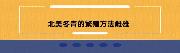 北美冬青的繁殖方法——如何识别雌雄株并实现成功繁殖