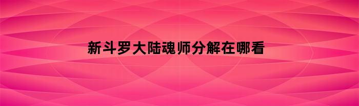 新斗罗大陆魂师分解在哪看