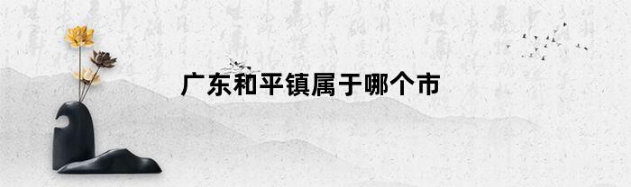 广东和平镇属于哪个市