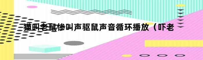 猫咪的嚎叫声让老鼠们惨叫不止：循环播放3分钟，吓跑老鼠!