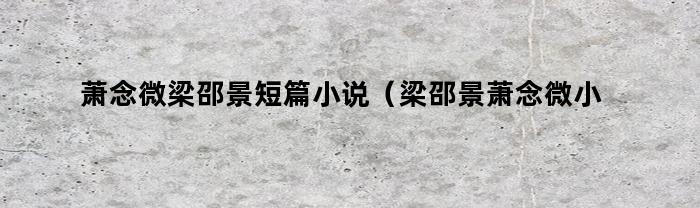 萧念微梁邵景短篇小说（梁邵景萧念微小说名最新章节）