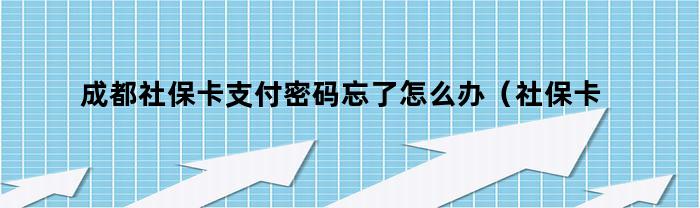 成都社保卡支付密码忘了怎么办（社保卡支付密码忘了怎么办）