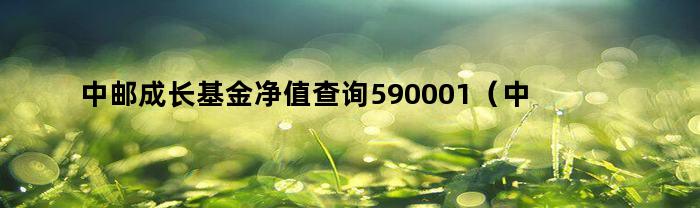 中邮成长基金净值查询590001（中邮核心成长基金净值590002今日净值）