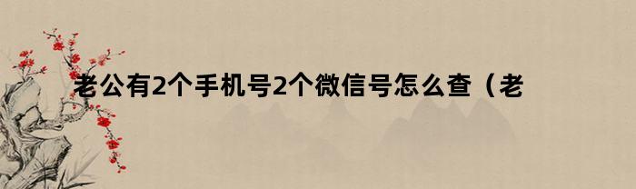 老公有2个手机号2个微信号怎么查（老公一个手机两个号码怎么查微信）