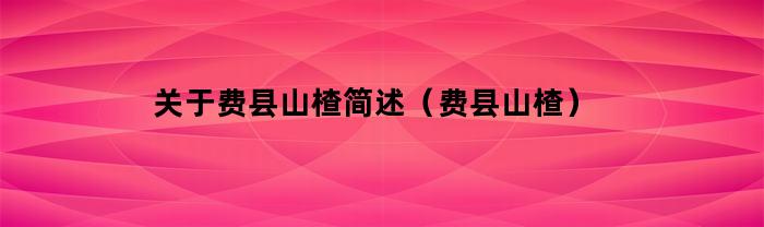 关于费县山楂简述（费县山楂）