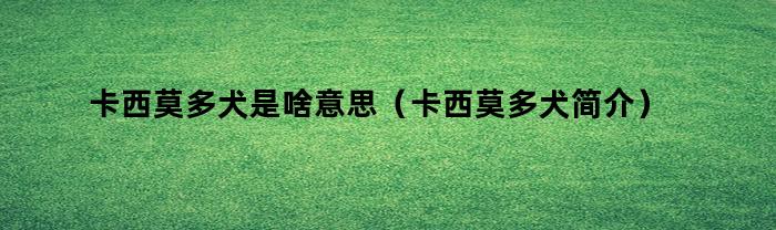 卡西莫多犬是啥意思（卡西莫多犬简介）
