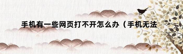 手机有一些网页打不开怎么办（手机无法打开部分网页是怎么回事）